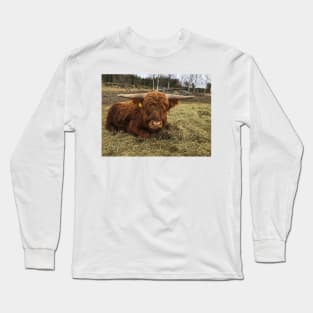 Scottish Highland Cattle Bull 2339 Long Sleeve T-Shirt
